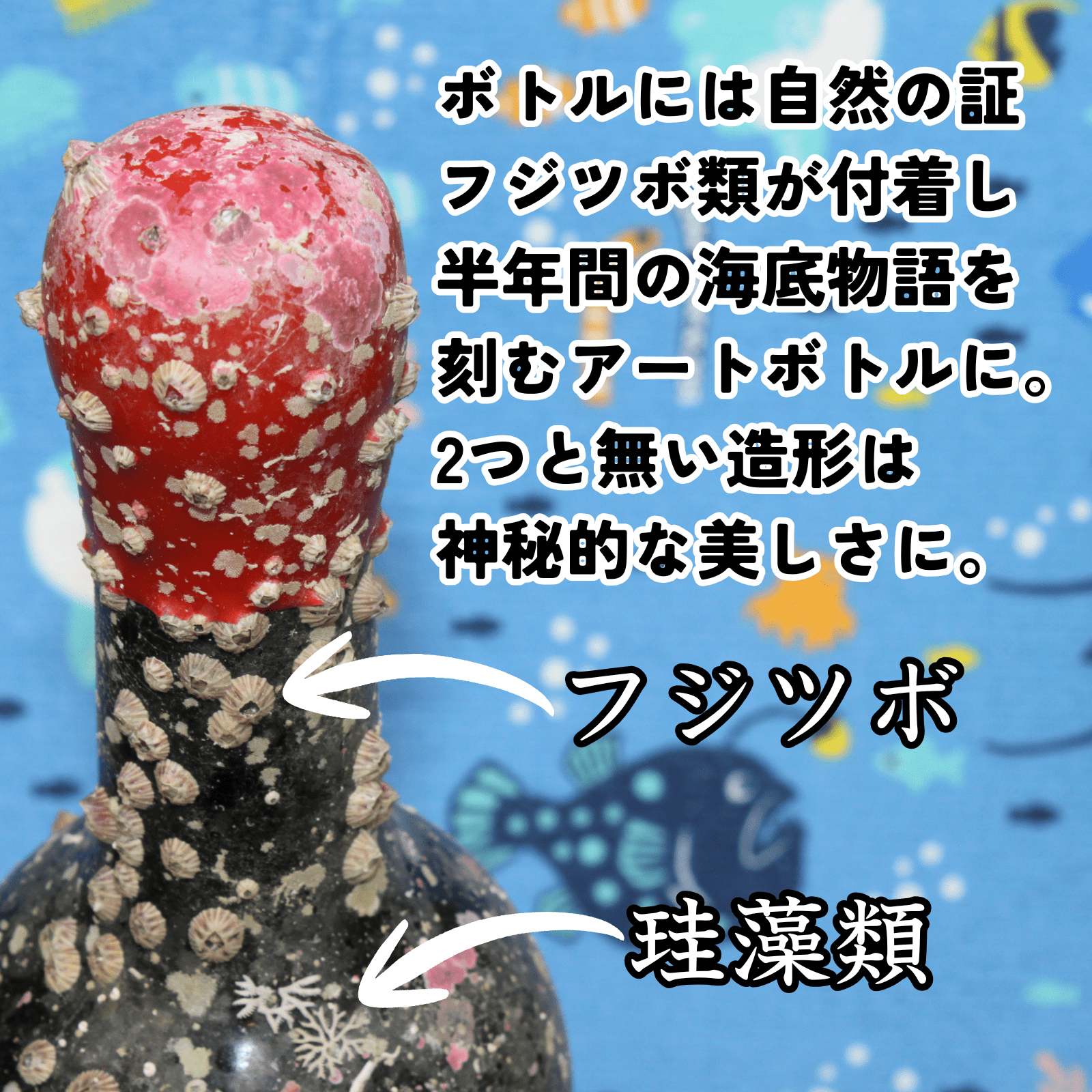 【山田錦100%使用,ワイングラスでおいしい日本酒アワード2024最高金賞】海底で熟成した日本酒 大吟醸 匠