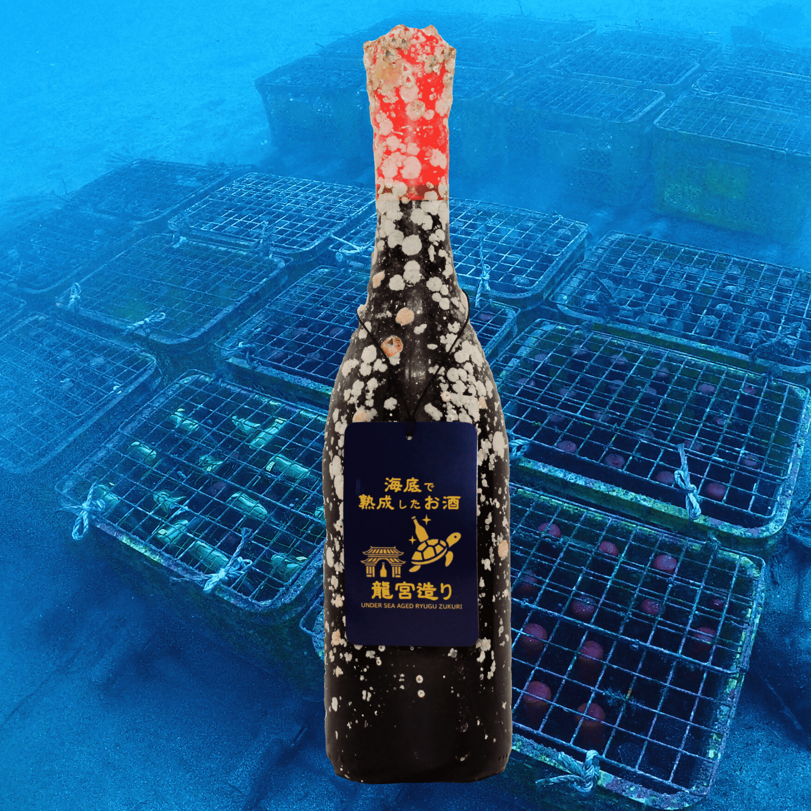 【微発泡,alc5%,甘口デザートワイン】海底で熟成した白ワイン イタリア産 PIEMONTE MOSCATO