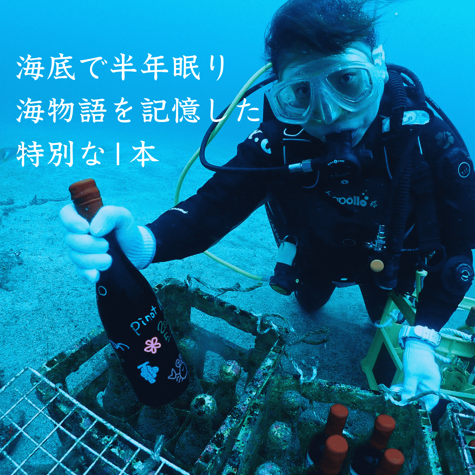 【微発泡,alc5%,甘口デザートワイン】海底で熟成した白ワイン イタリア産 PIEMONTE MOSCATO
