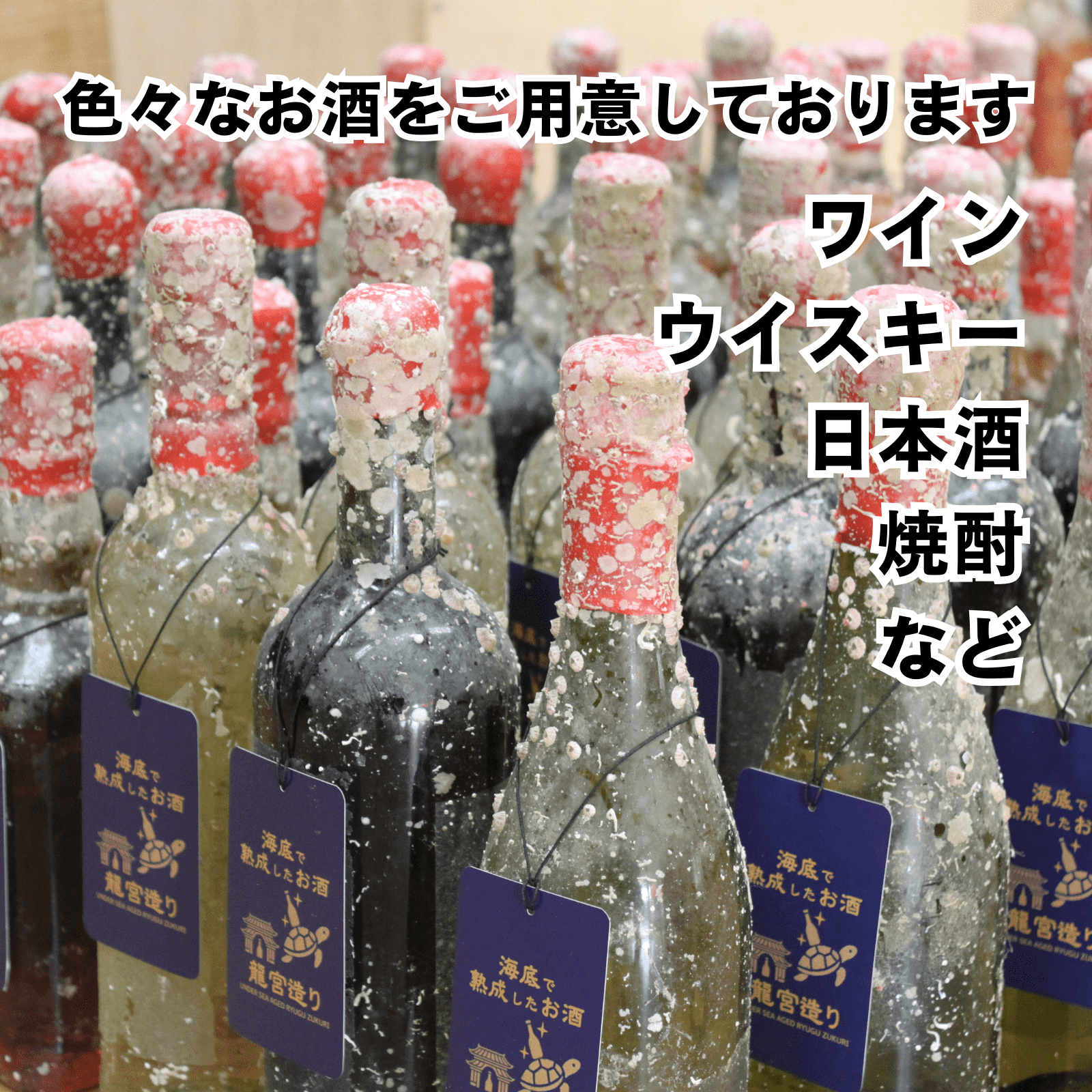 【微発泡,alc5%,甘口デザートワイン】海底で熟成した白ワイン イタリア産 PIEMONTE MOSCATO