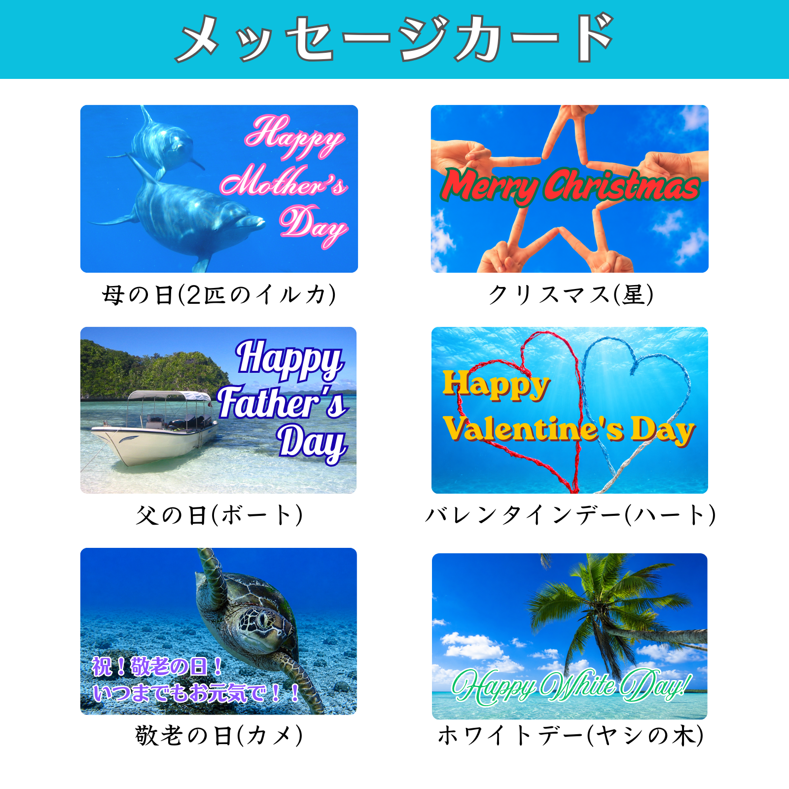 【華やかな吟醸香,フルーティーな味わい】【辛口で美しい余韻と切れ味の良さ】海底で熟成した日本酒 純米吟醸 2銘柄セット