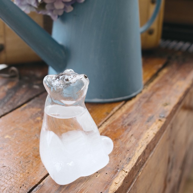 Storm Glass ポーラベアのストームグラス