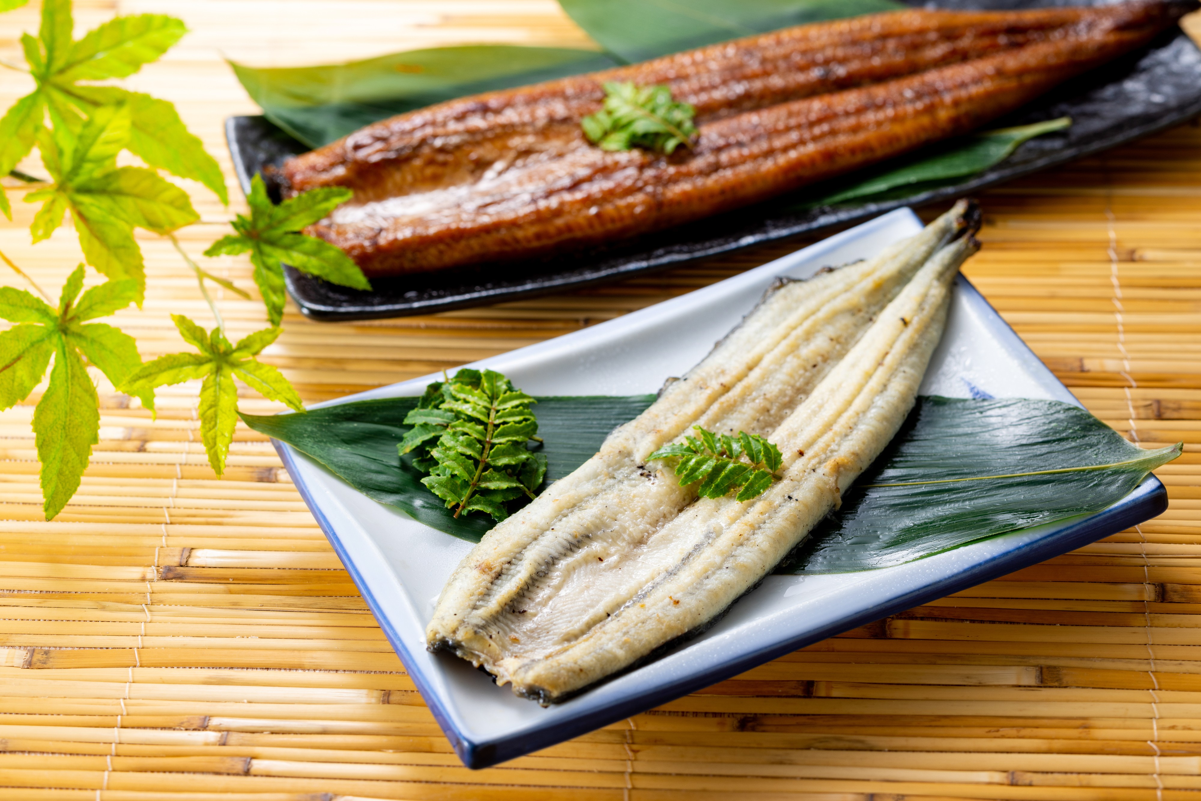 浜松、浜名湖うなぎ贅沢セット6人前