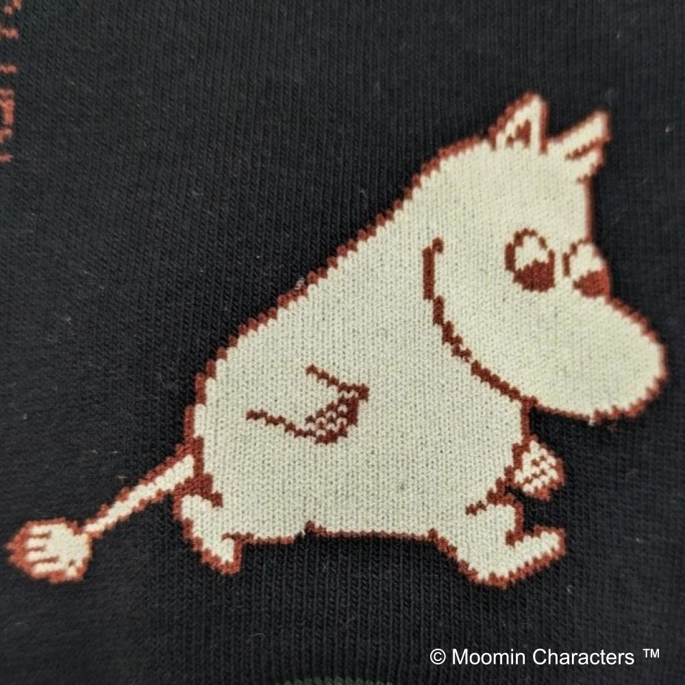 ムーミンメンズボクサーパンツ＆ソックスセット