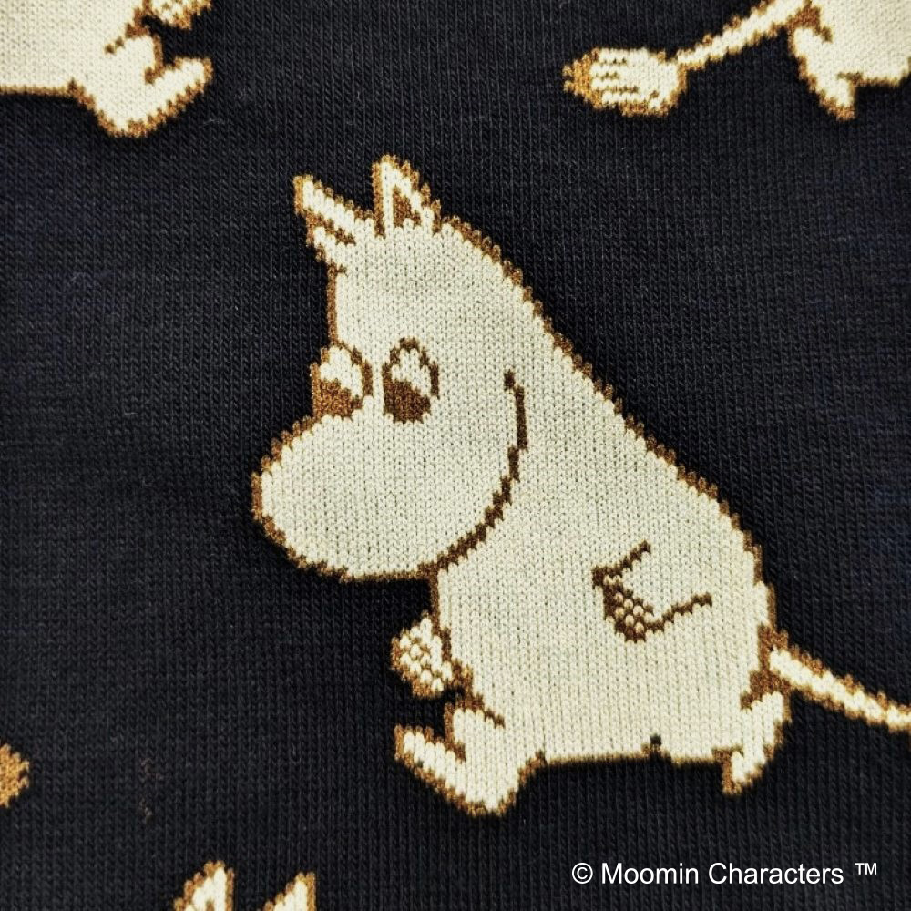 ムーミンメンズボクサーパンツ＆ソックスセット