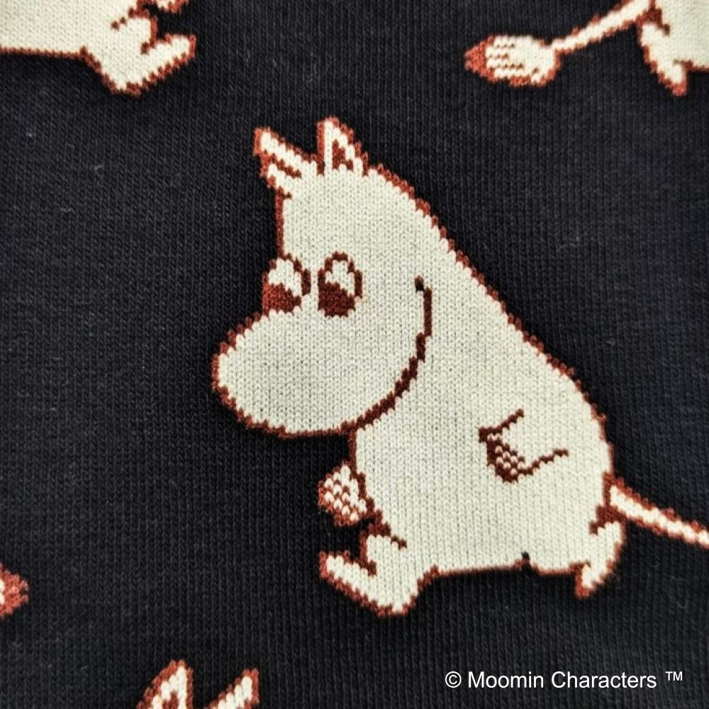 ムーミンメンズボクサーパンツ＆ソックスセット
