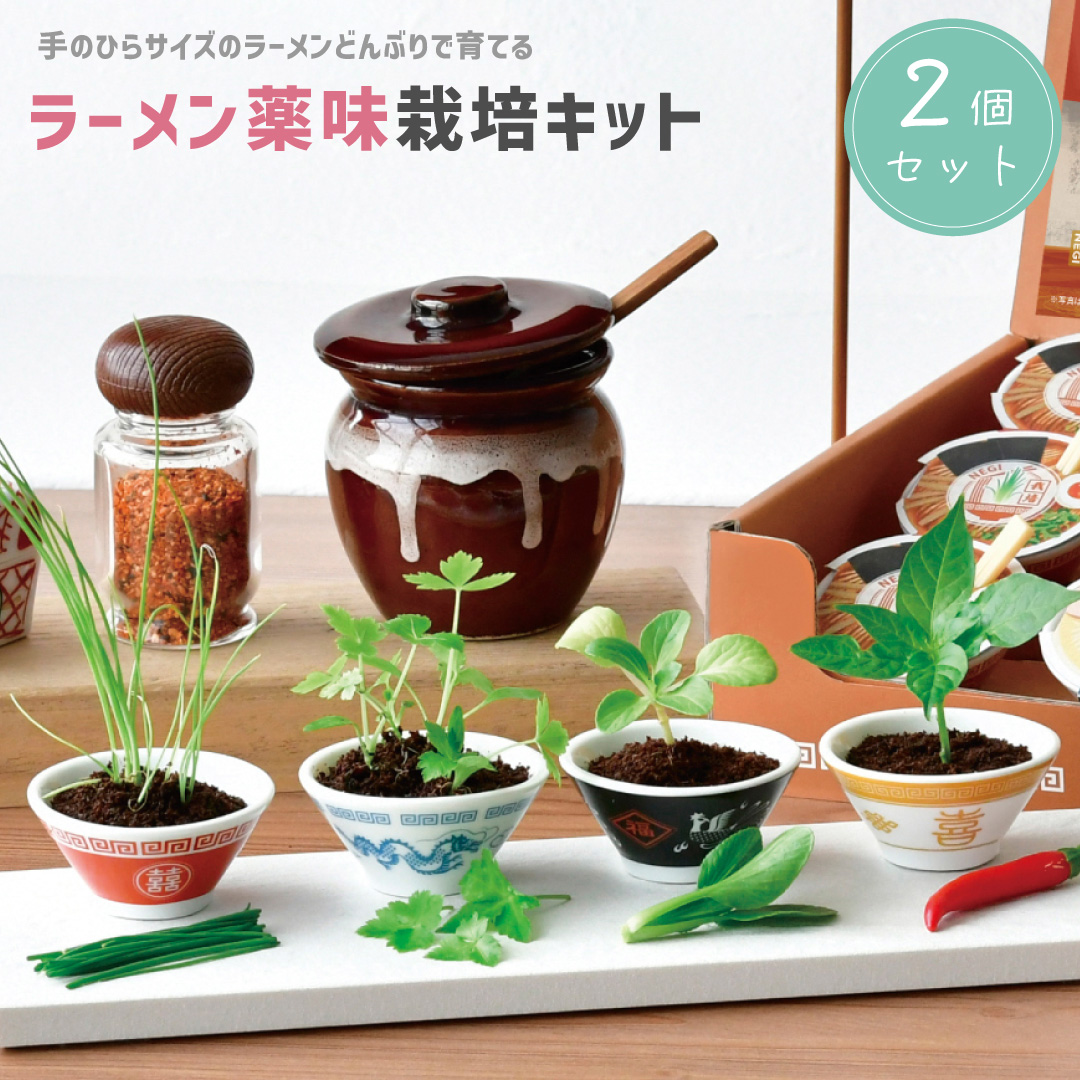 2個セット】ラーメン薬味栽培キット | 聖新陶芸のプレゼント・ギフト
