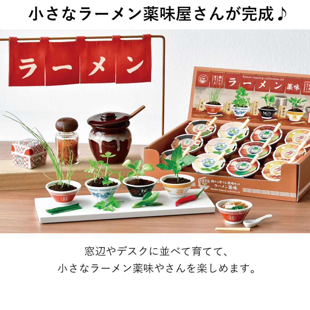 【2個セット】ラーメン薬味栽培キット