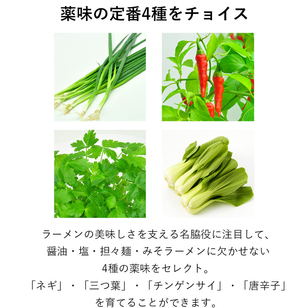 【2個セット】ラーメン薬味栽培キット