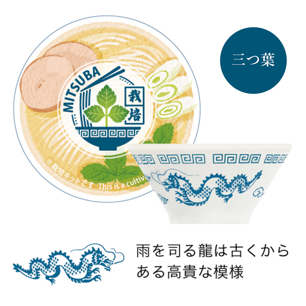 【2個セット】ラーメン薬味栽培キット