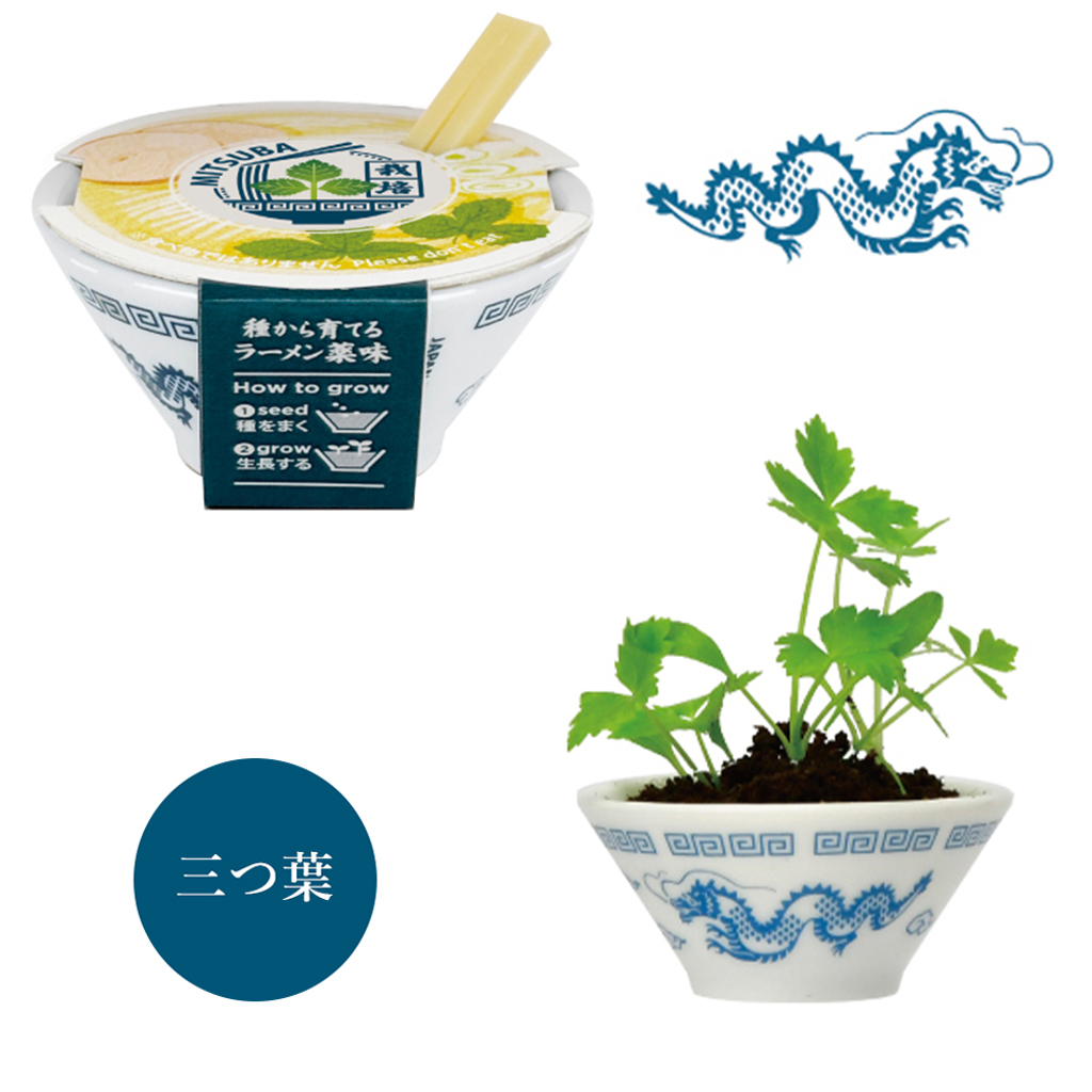 【2個セット】ラーメン薬味栽培キット