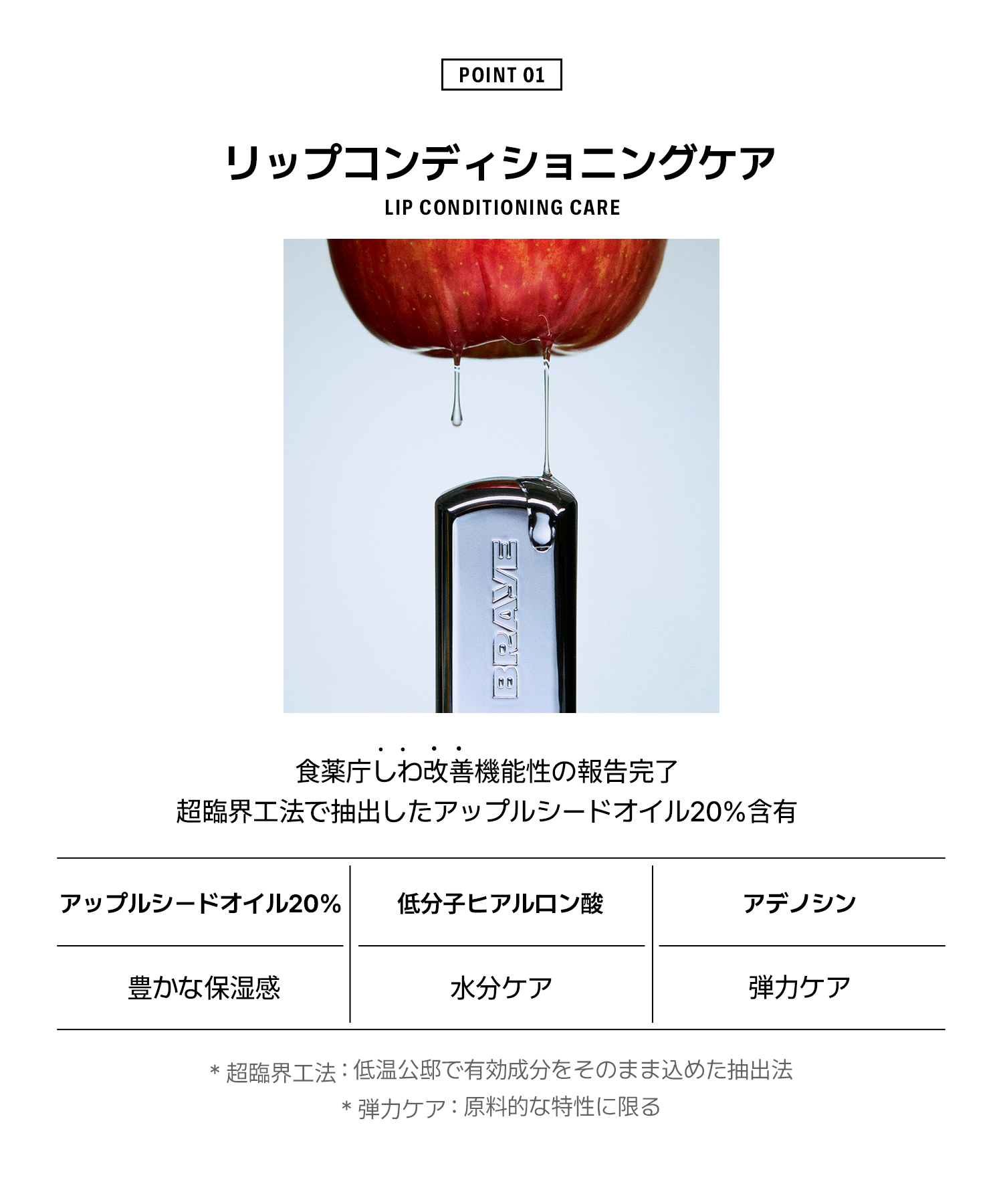 ブレイ リップスリーク ストラップロングセット