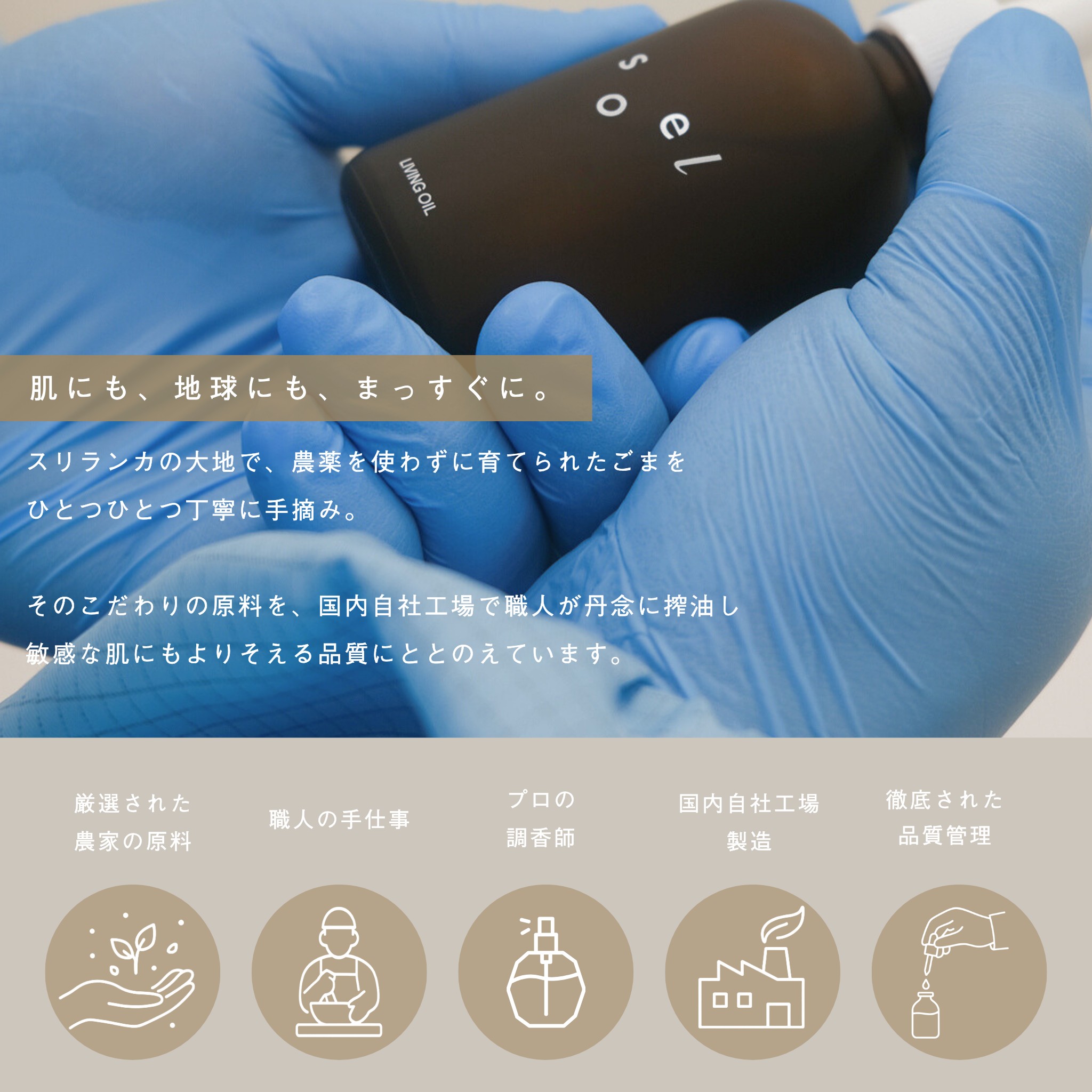 LIVING-OIL オーガニックセサミオイル 60mL