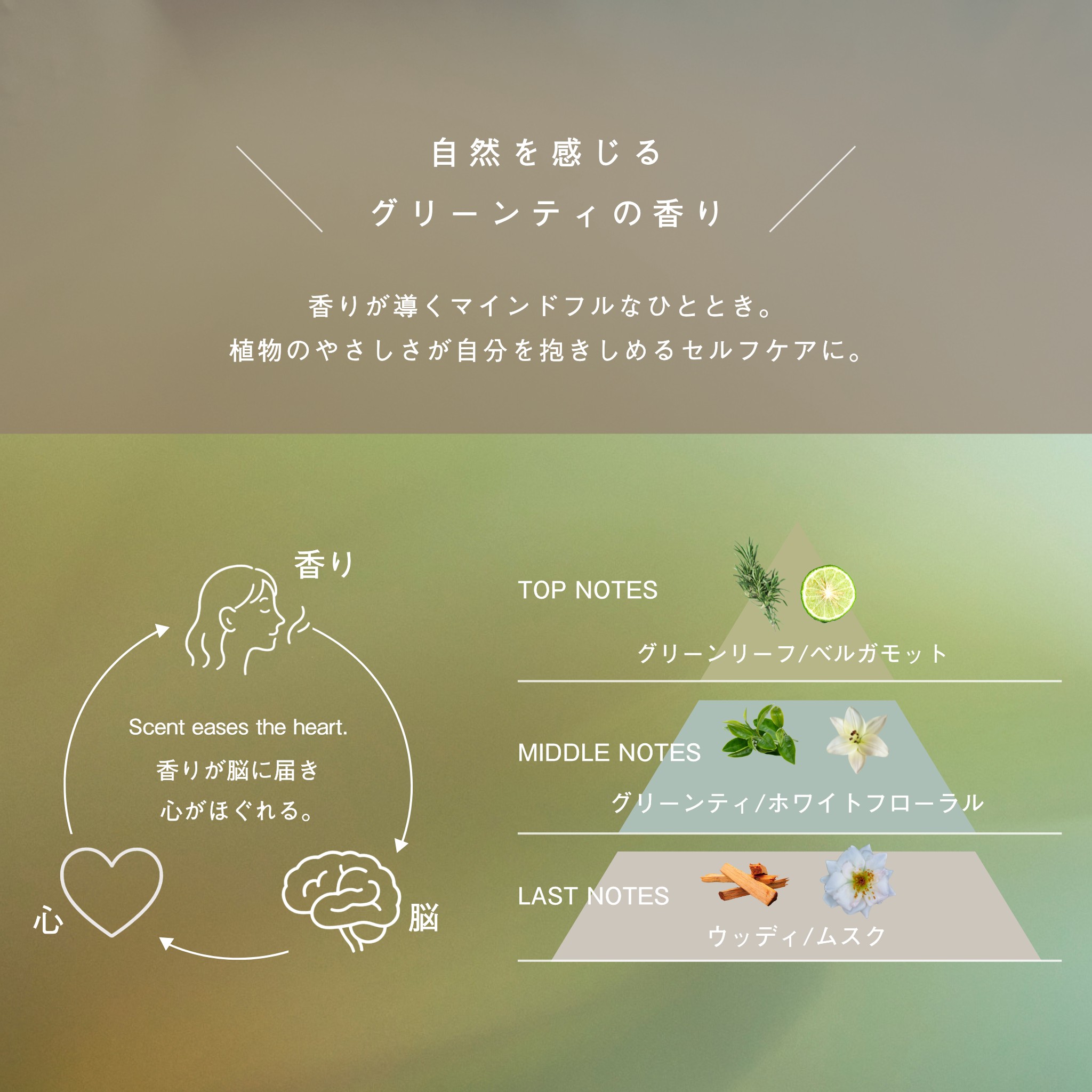 LIVING-OIL オーガニックセサミオイル 60mL