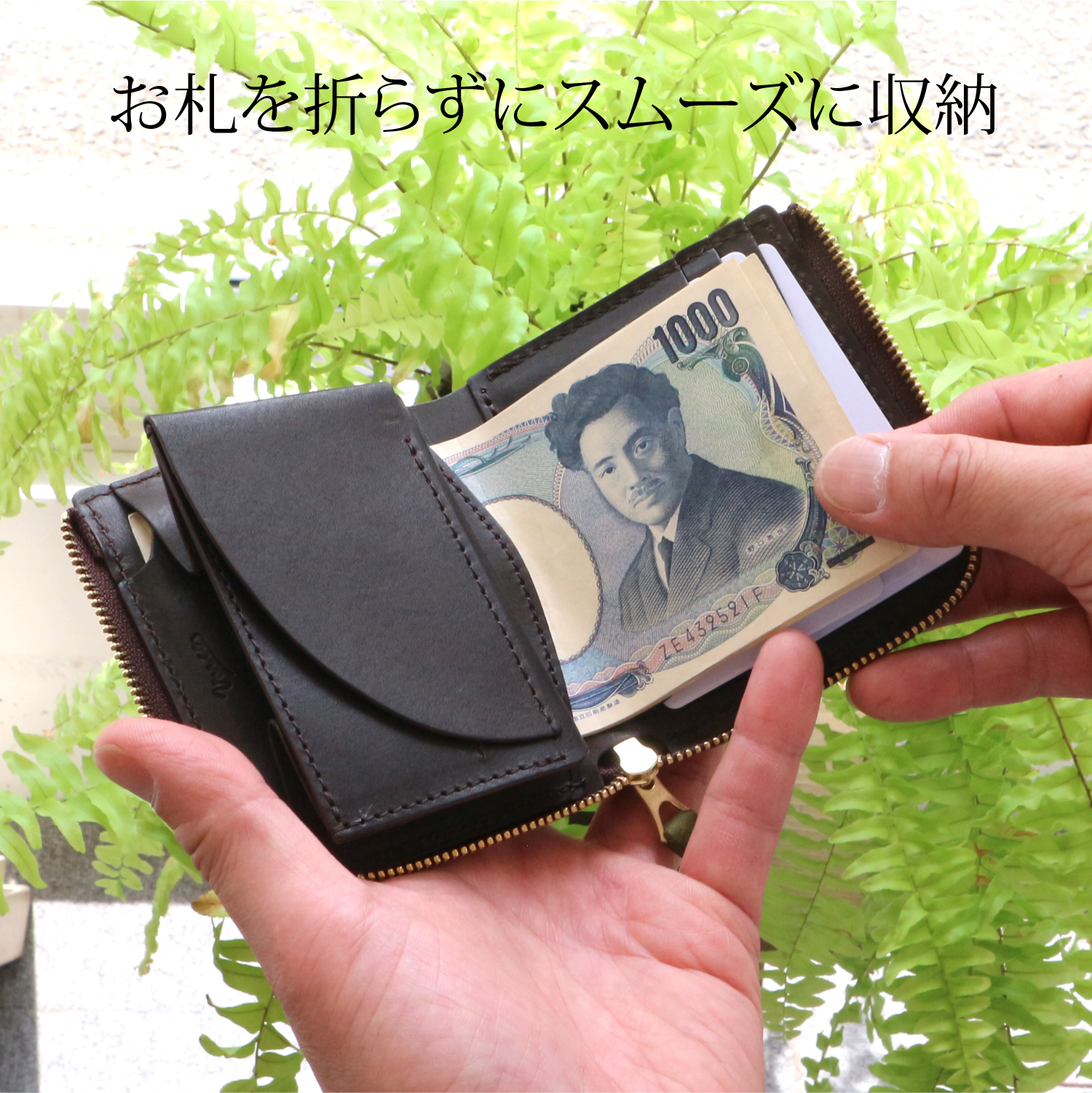REAL WOOD Compact wallet NE