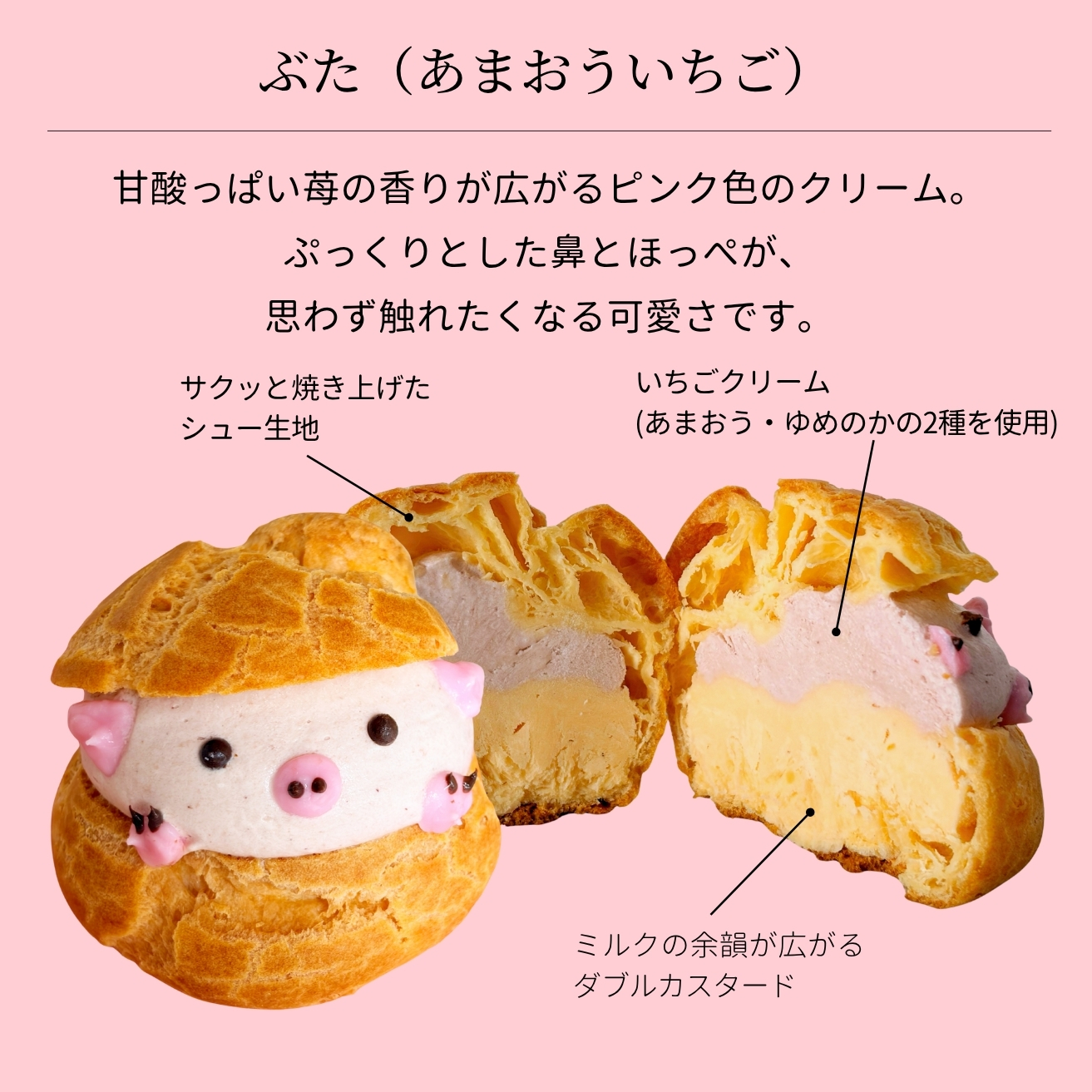 どうぶつシュー3種6個セット（シャンティ・いちご・チョコ）