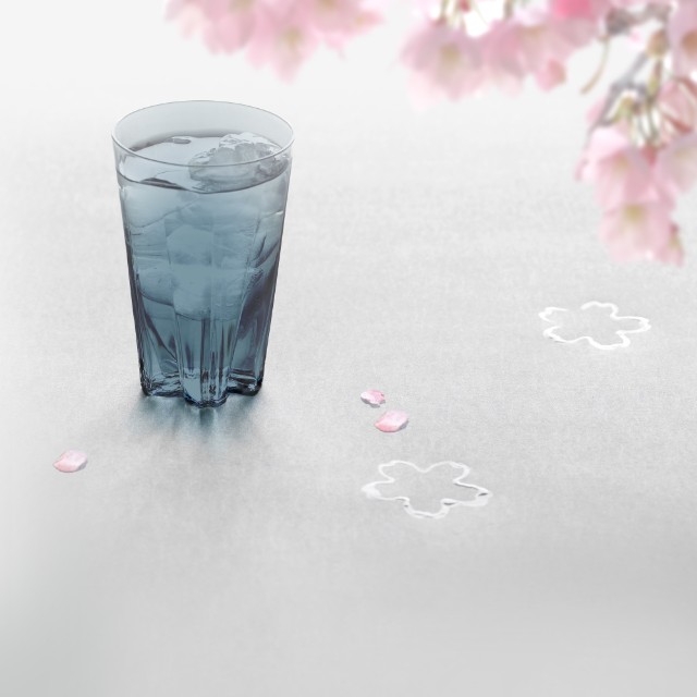 さくらさく　タンブラー（桐箱）