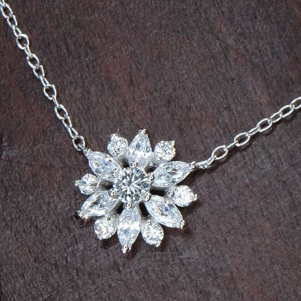 【Clementia】ワイルドダリアセット