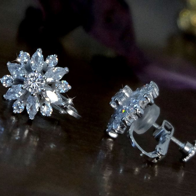 【Clementia】ワイルドダリアセット