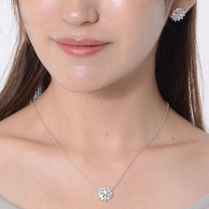 【Clementia】ワイルドダリアセット