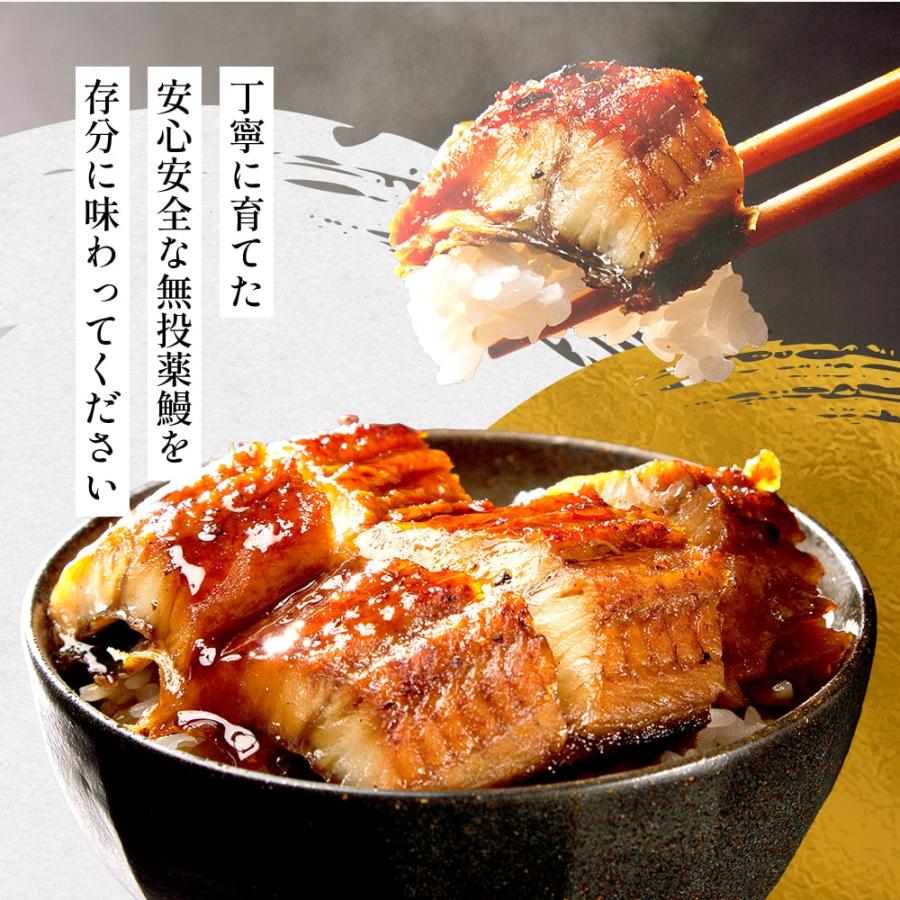 鹿児島うなぎ2種(長焼・カット) | 朝日共販株式会社のプレゼント