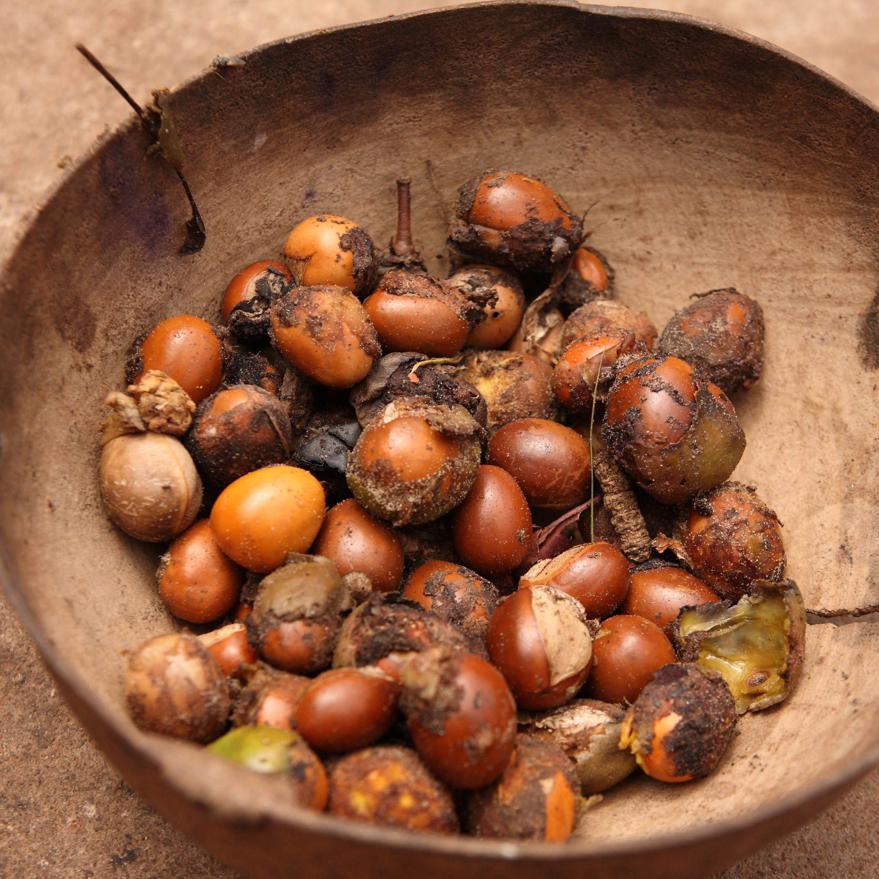 ディープモイスチャー　UVローション[ SPF39 PA++ ]　50ml