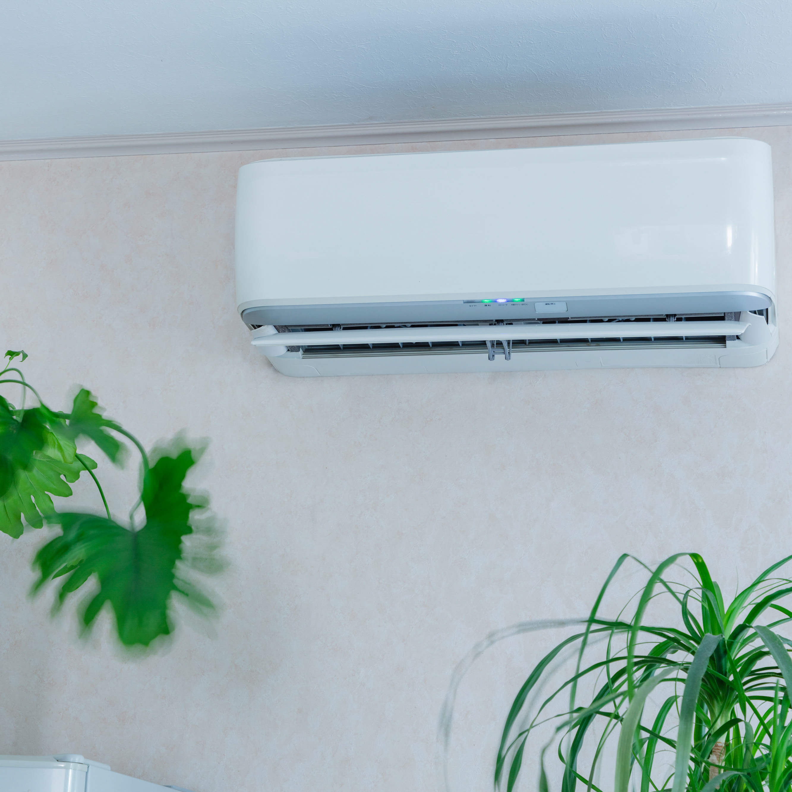 ボタニカル 除菌消臭スプレー　（携帯用）50ml