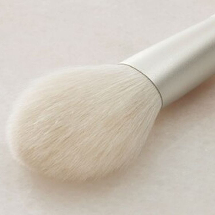 【alba】化粧筆５本セット