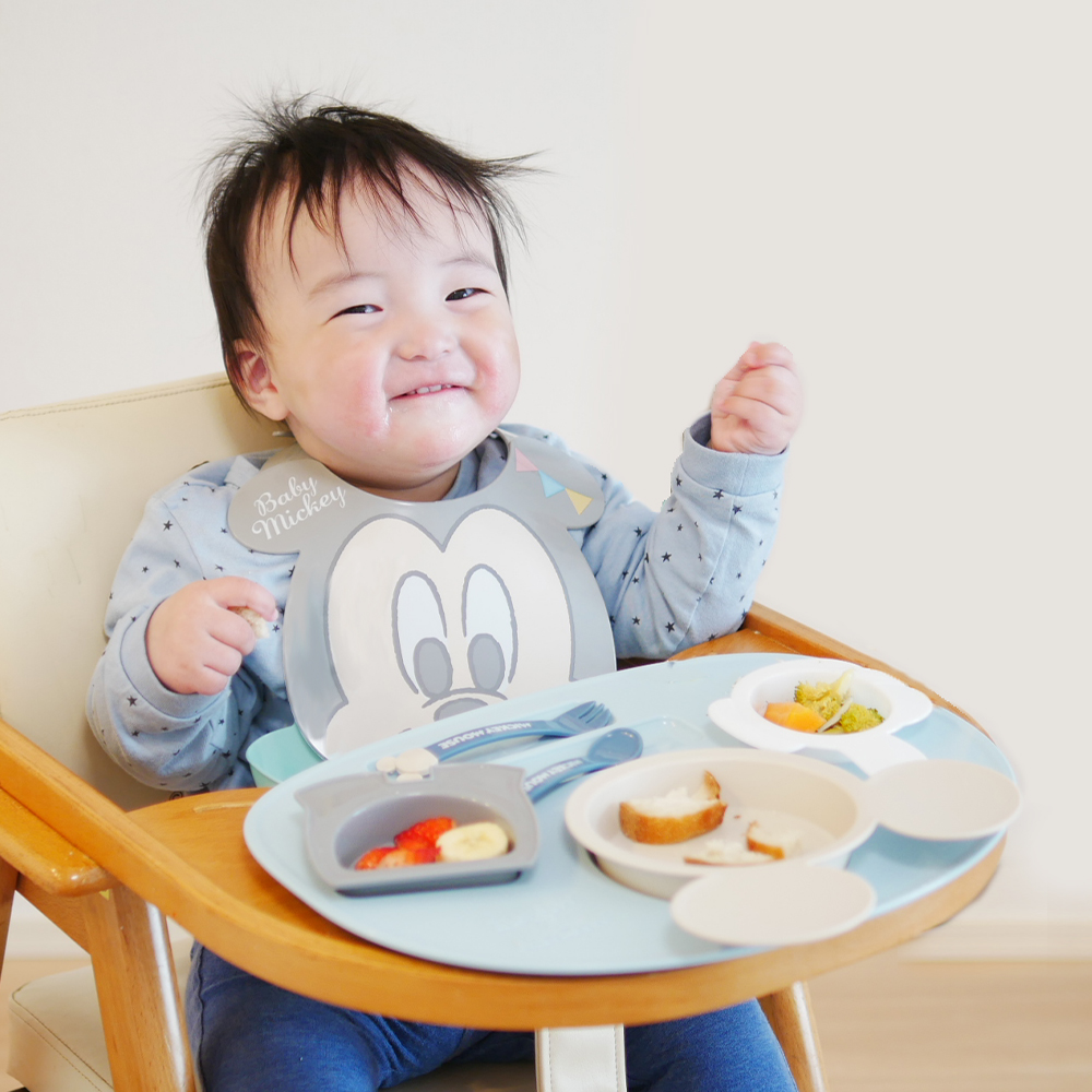 ミッキー・ミニー アイコンランチプレート+名前入りお食事スタイエプロンセット