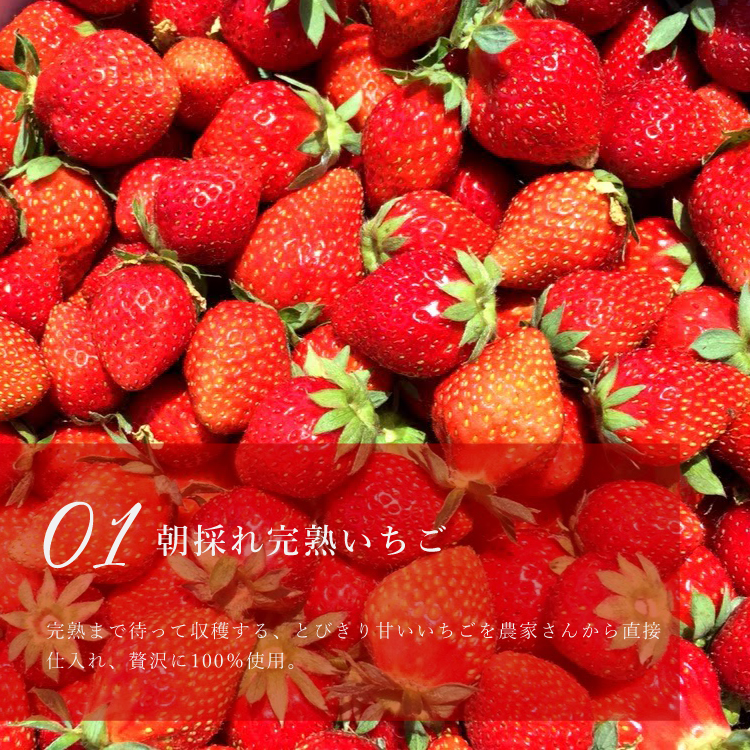 完熟いちごのストロベリーチーズタルト 14㎝ (4〜6名様用) 誕生日 ギフト 結婚祝 出産祝 無添加 お菓子 【母の日 2025 早割 お取り寄せ  誕生日ケーキ メディア掲載店】