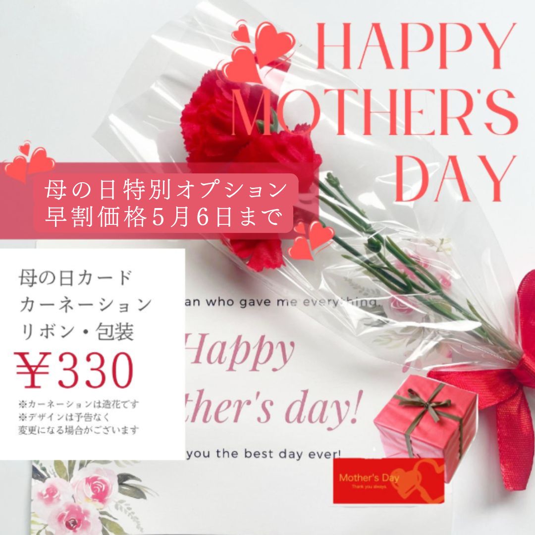 完熟いちごのストロベリーチーズタルト 14㎝ (4〜6名様用) 誕生日 ギフト 結婚祝 出産祝 無添加 お菓子 【母の日 2025 早割 お取り寄せ  誕生日ケーキ メディア掲載店】