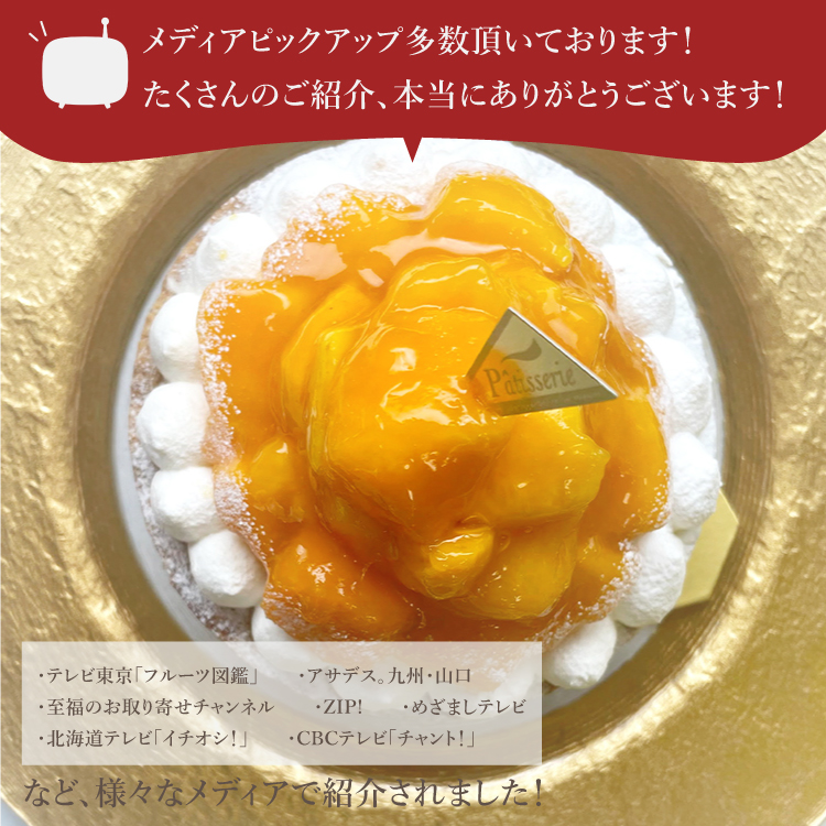 贅沢完熟マンゴーチーズタルト 14㎝ (4〜6名様用) 誕生日 ギフト 結婚祝 出産祝 無添加 お菓子【クリスマス 2025 早割 お取り寄せ  誕生日ケーキ メディア掲載店】