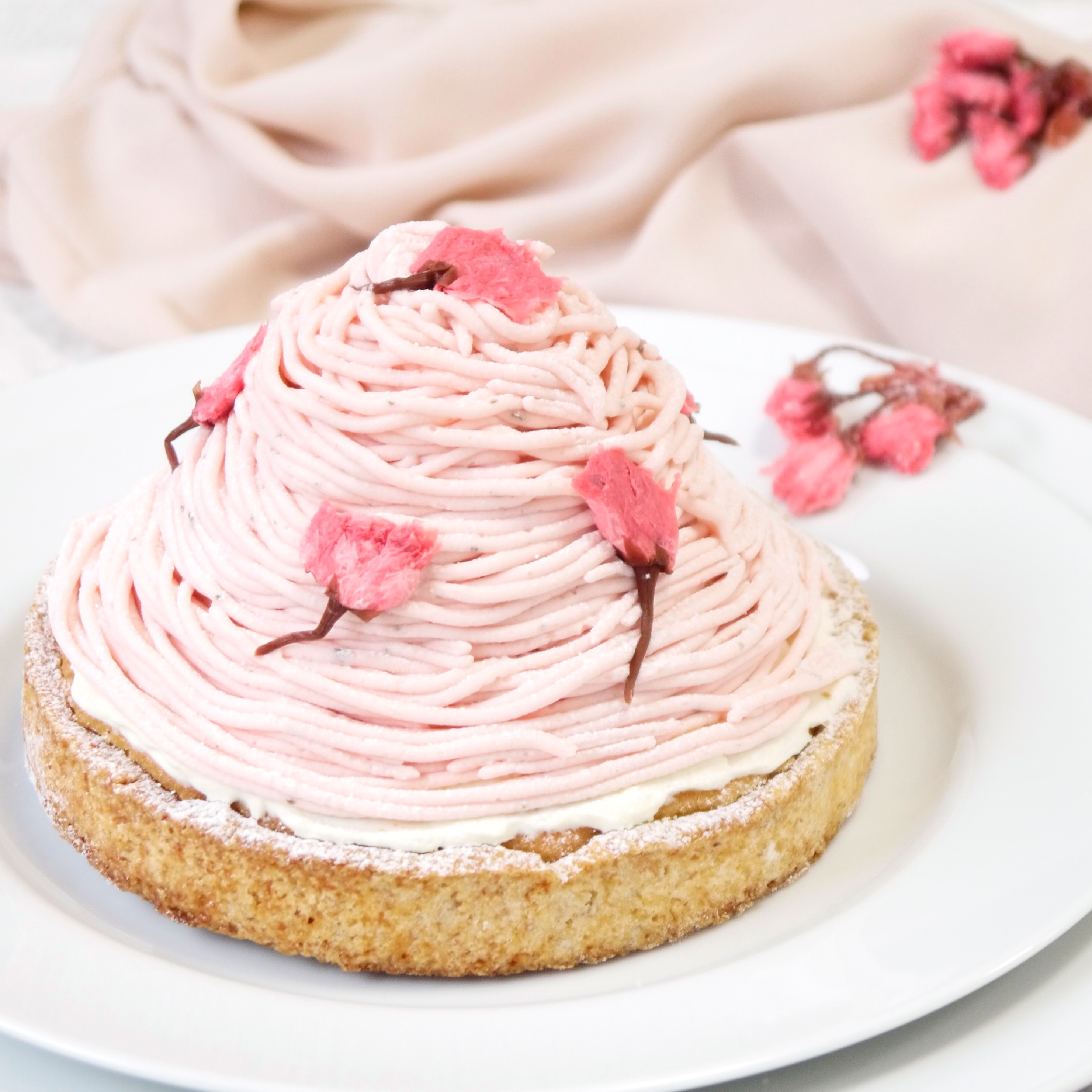 誕生日ケーキ 即日出荷 着日指定 さくらちーずたると 14㎝ (4〜6名様用)