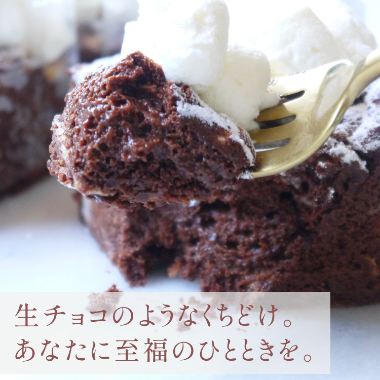 クリスマス雑貨付き　じゅわりとろける濃密半熟ガトークラシック 15㎝ (6名様用) 誕生日 ギフト 結婚祝 出産祝 無添加 お菓子【クリスマス 2025 早割 お取り寄せ  誕生日ケーキ メディア掲載店】