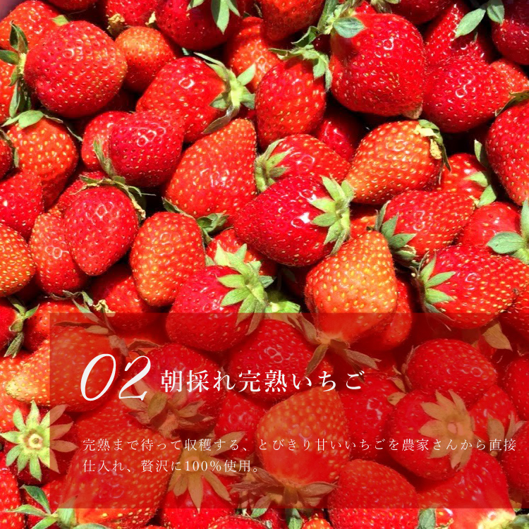 ストロベリーチーズプリン6本セット 誕生日 ギフト 結婚祝 出産祝 無添加 お菓子【クリスマス 2025 早割 お取り寄せ 誕生日ケーキ メディア掲載店】