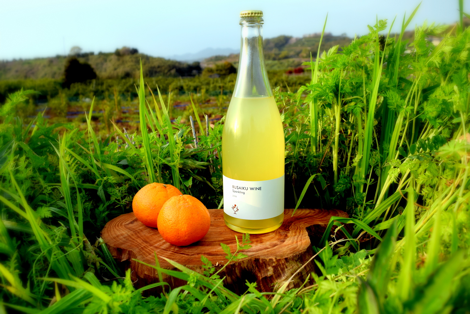 ぶさいくワイン スパークリング 2019　BUSAIKU WINE Sparkling 2019