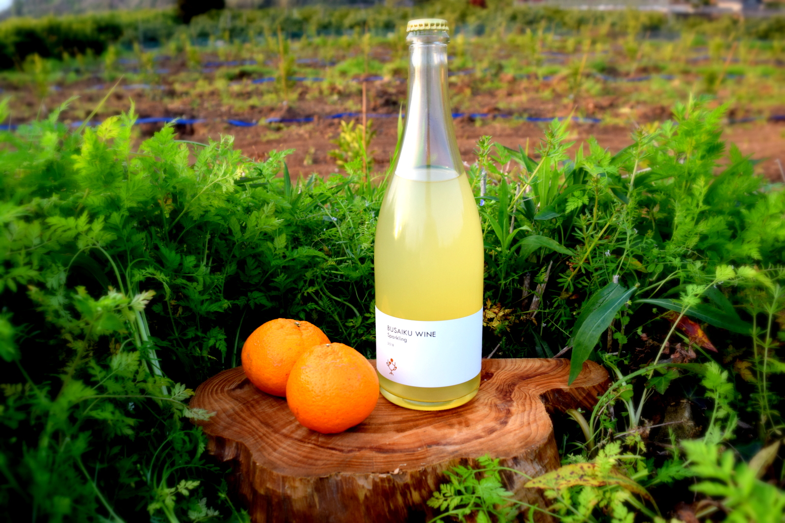 ぶさいくワイン スパークリング 2019　BUSAIKU WINE Sparkling 2019