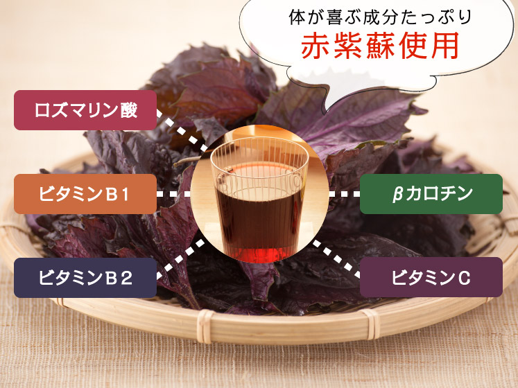 お酒が飲めない方へ名入れしそジュース！生まれ年のメモリアル新聞付き≪紫蘇レスベラ≫【720ml】