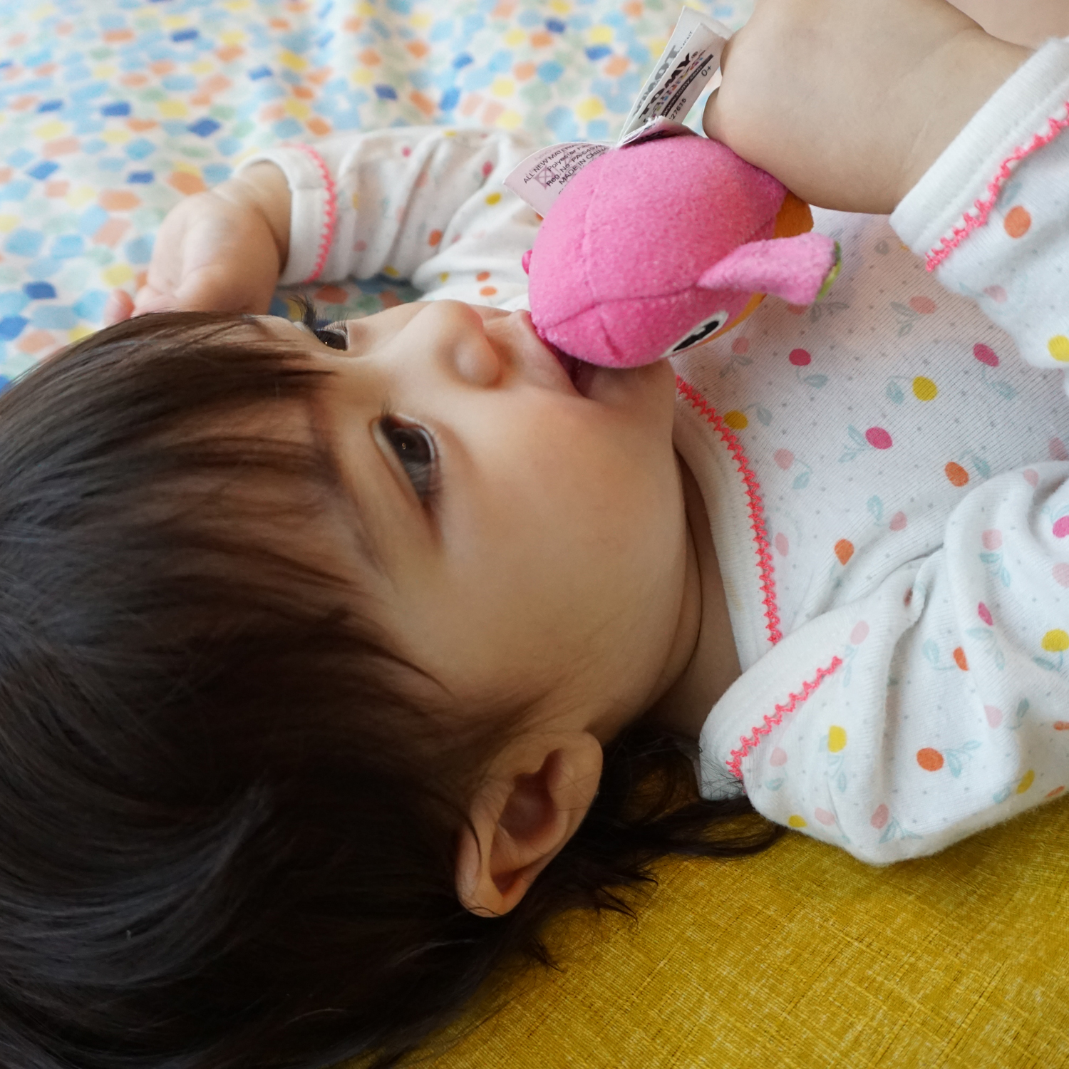 せんべい座布団撥水ヌード＆カバーセット