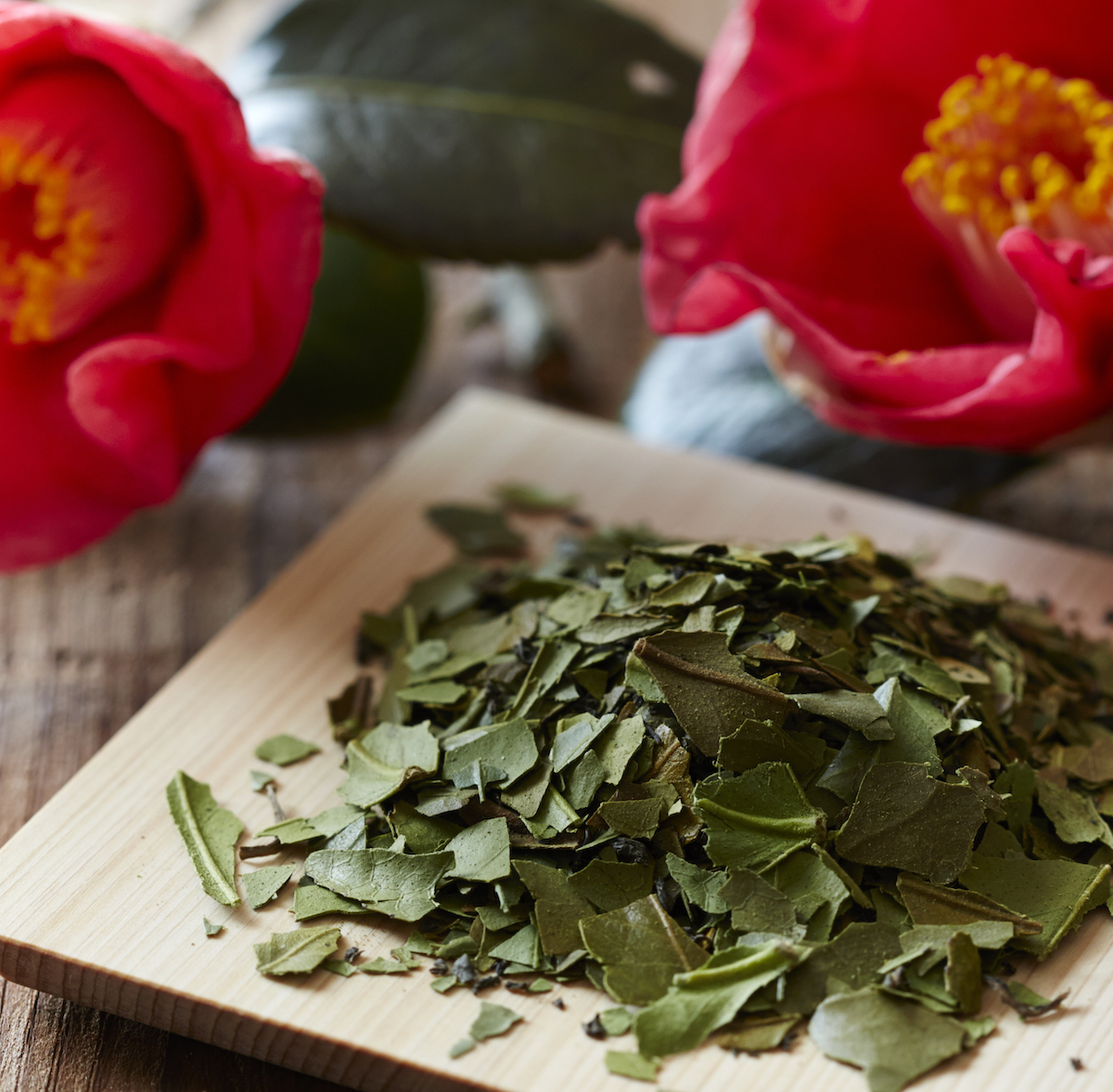 椿茶　ミニパック　ノベルティセットミニマム