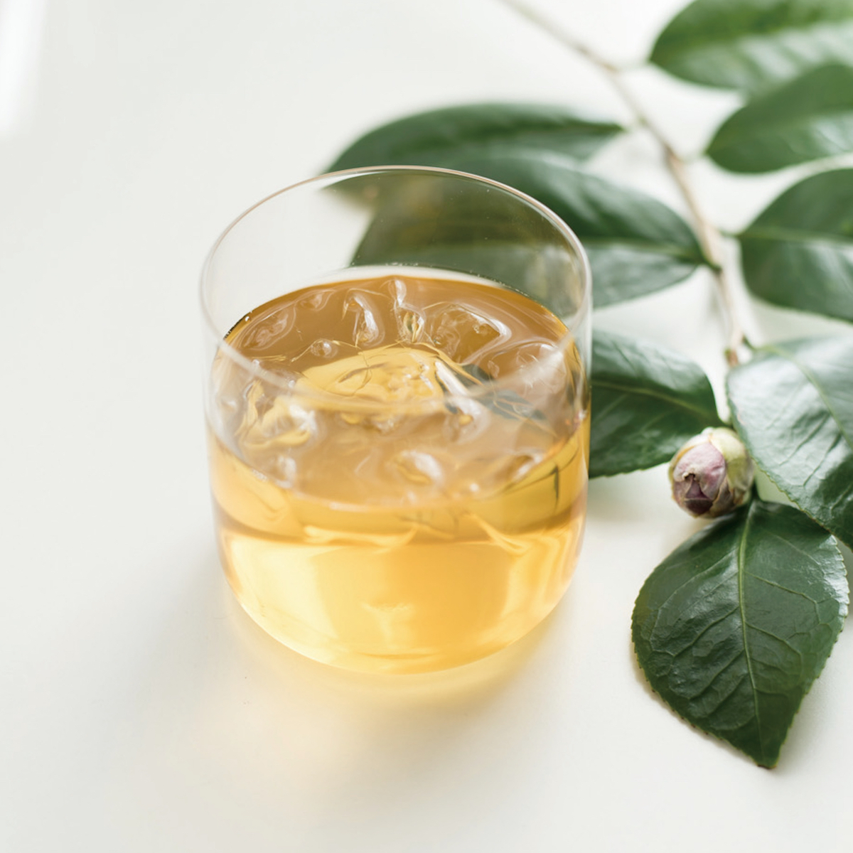 ペローフB.T、「お茶のとき」、希少な額装用画集より、新品高級額装付 椿茶 ミニパック ノベルティセットスタンダード | バンザイ