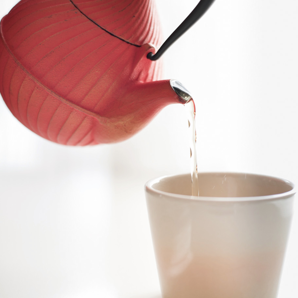 椿茶　茶筒ティーバッグ