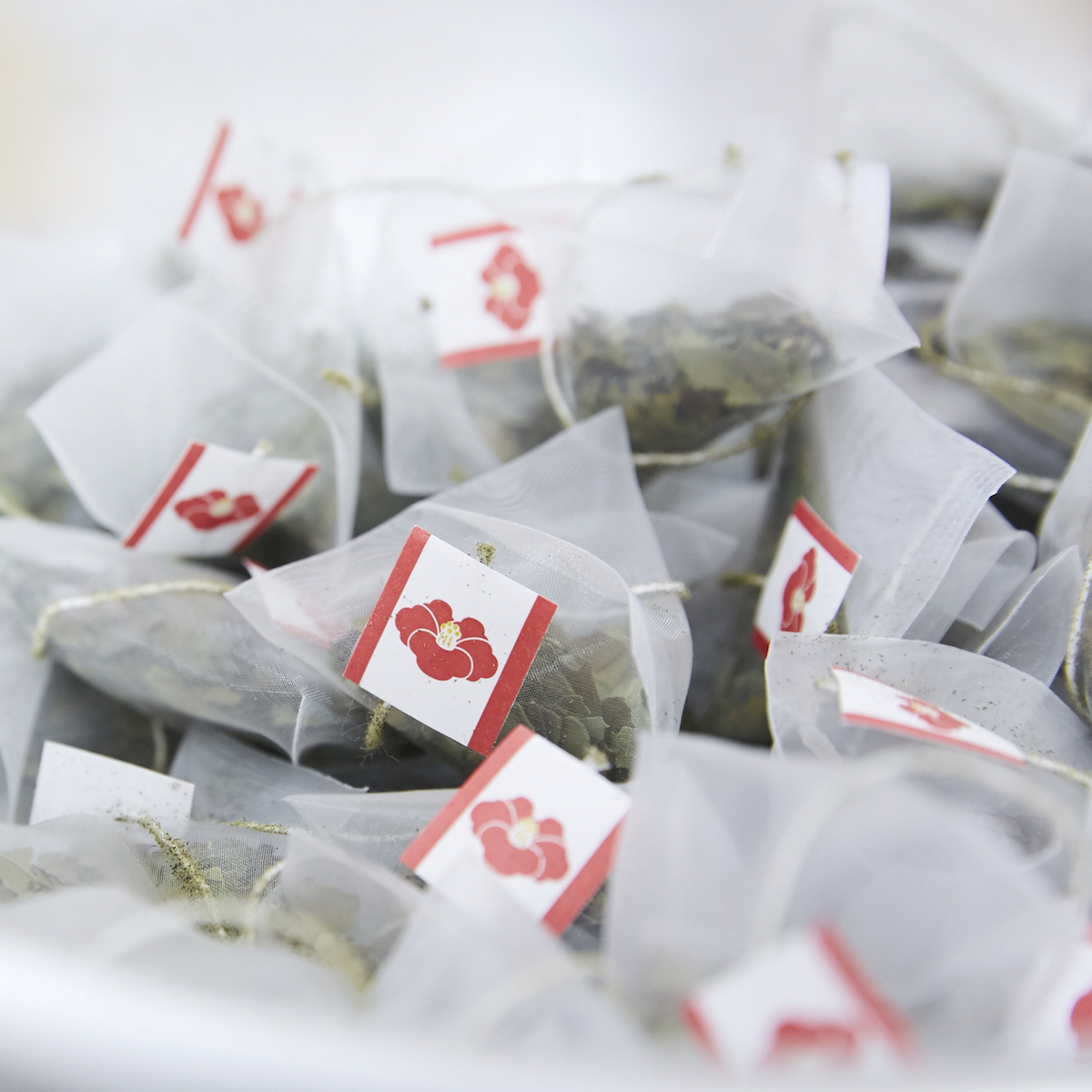 椿茶　茶筒ギフト