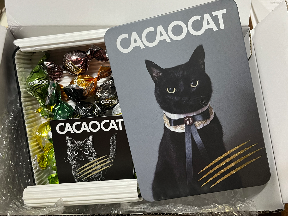 CACAOCAT 缶 ミックス 14 個入り | DADACA(ダダカ)の CACAOCAT 缶 ミックス 14 個入り | DADACA(ダダカ)の