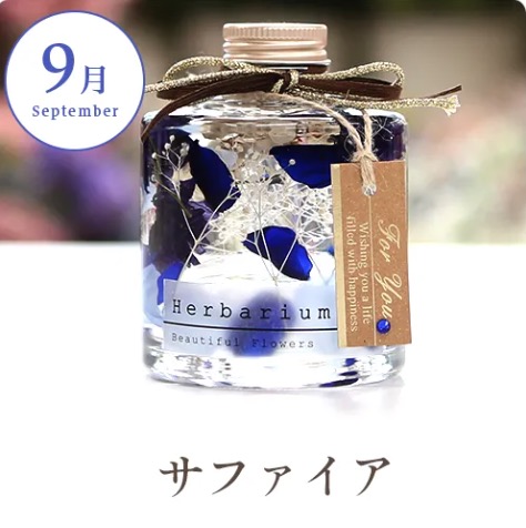 9月サファイア の画像