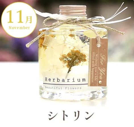 11月シトリン の画像