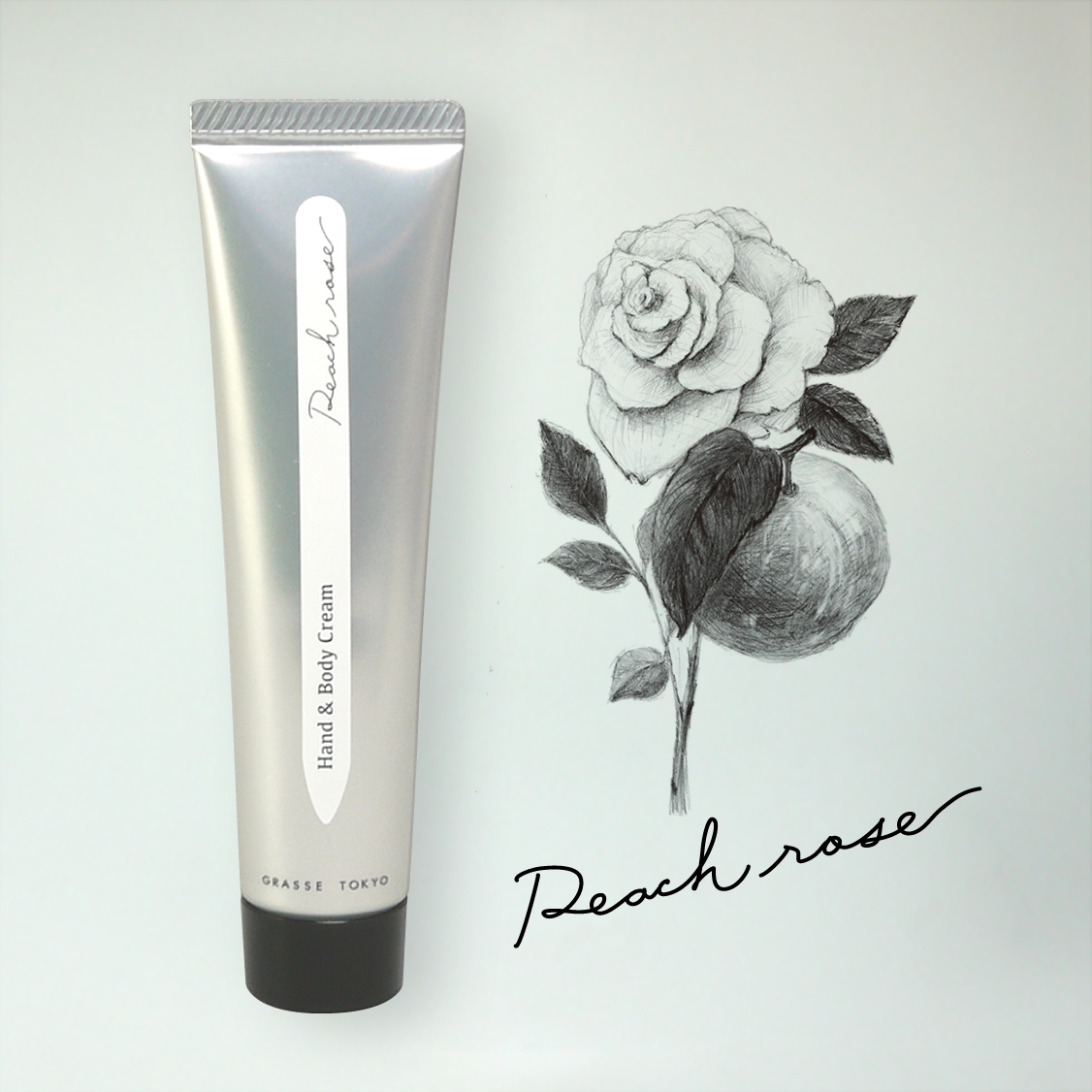 Peach rose の画像