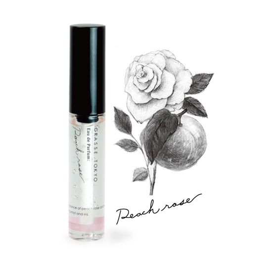 Peach rose の画像