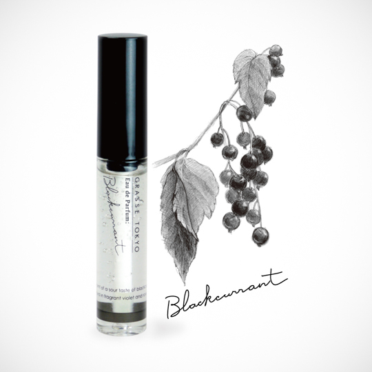 Blackcurrant の画像