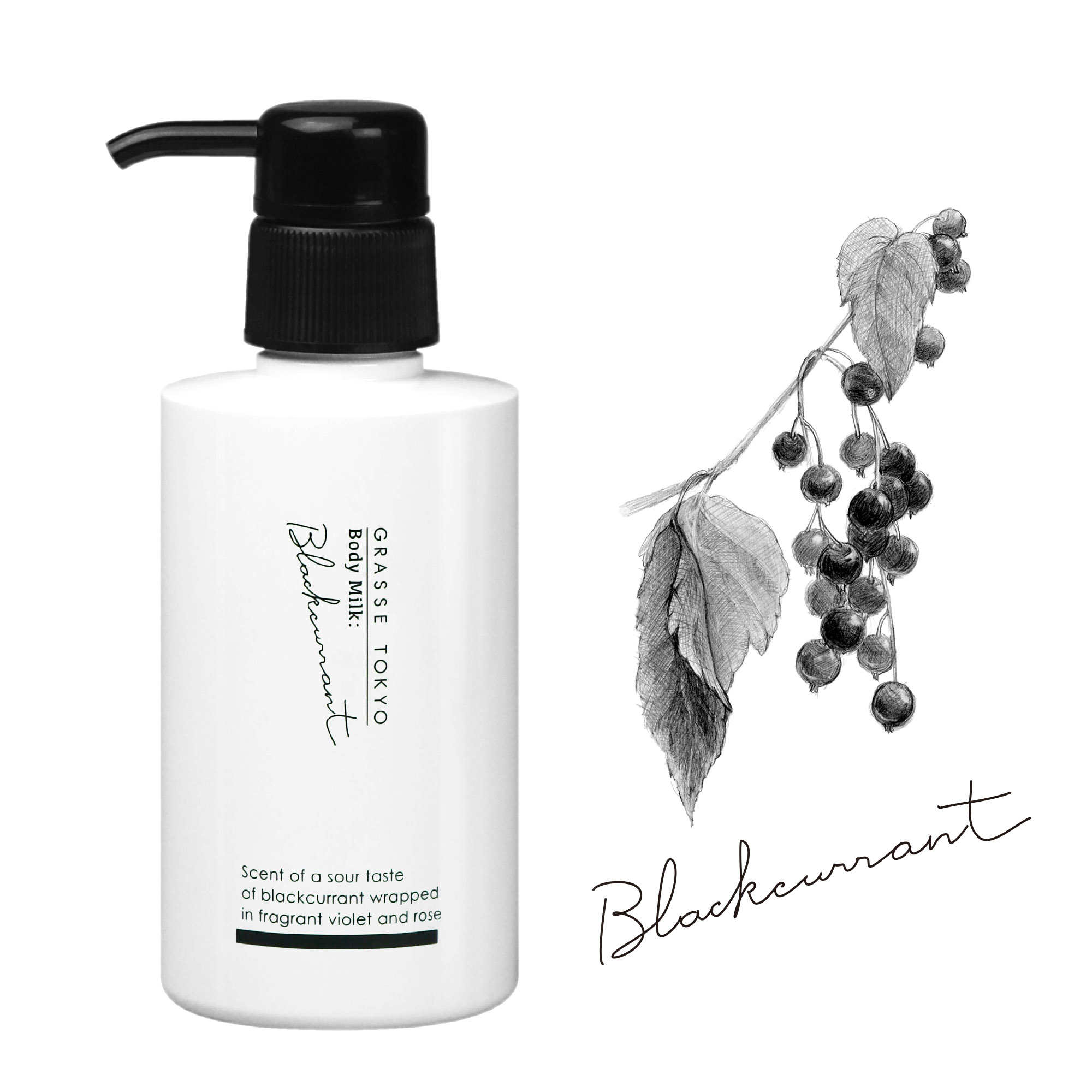 Blackcurrant の画像